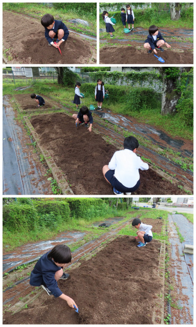 0426生活科２