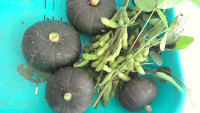 s-2025-09-11_092150_camera_pic