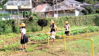s-2025-10-15_105354_camera_pic